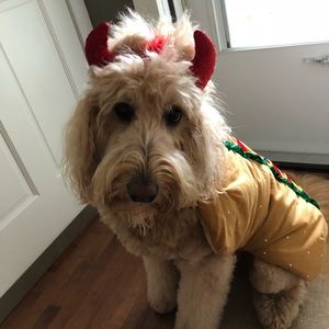 Meet your Posher, Leeann